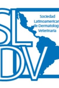 Normas de publicación revista SLDV