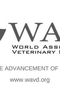 Décimo congreso Mundial de Dermatología Veterinaria